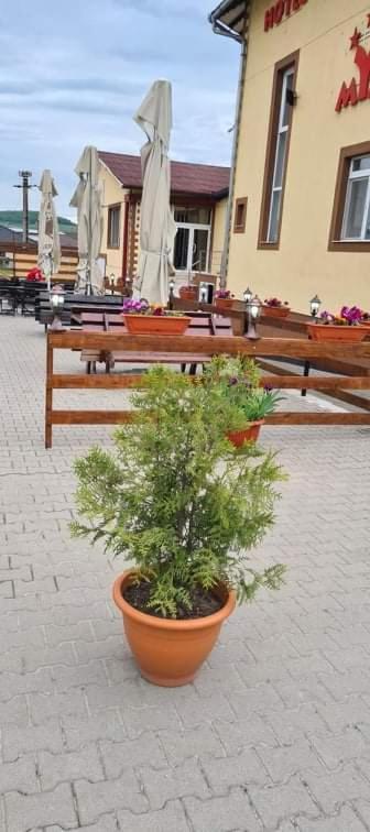Hotel Mya Бистрица Экстерьер фото